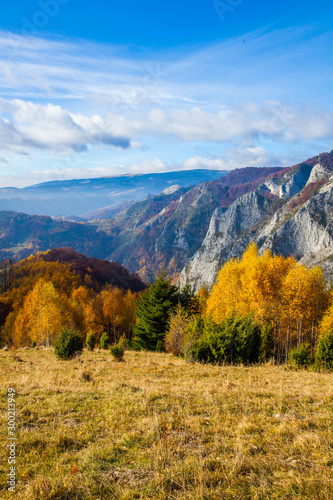 Autumn landscape from Transylvania, Romania