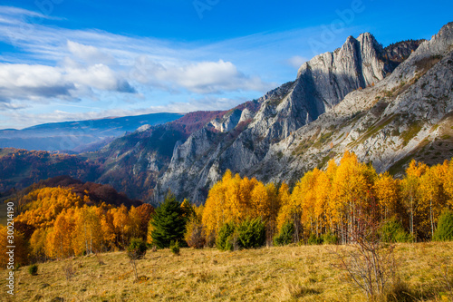 Autumn landscape  from Transylvania  Romania