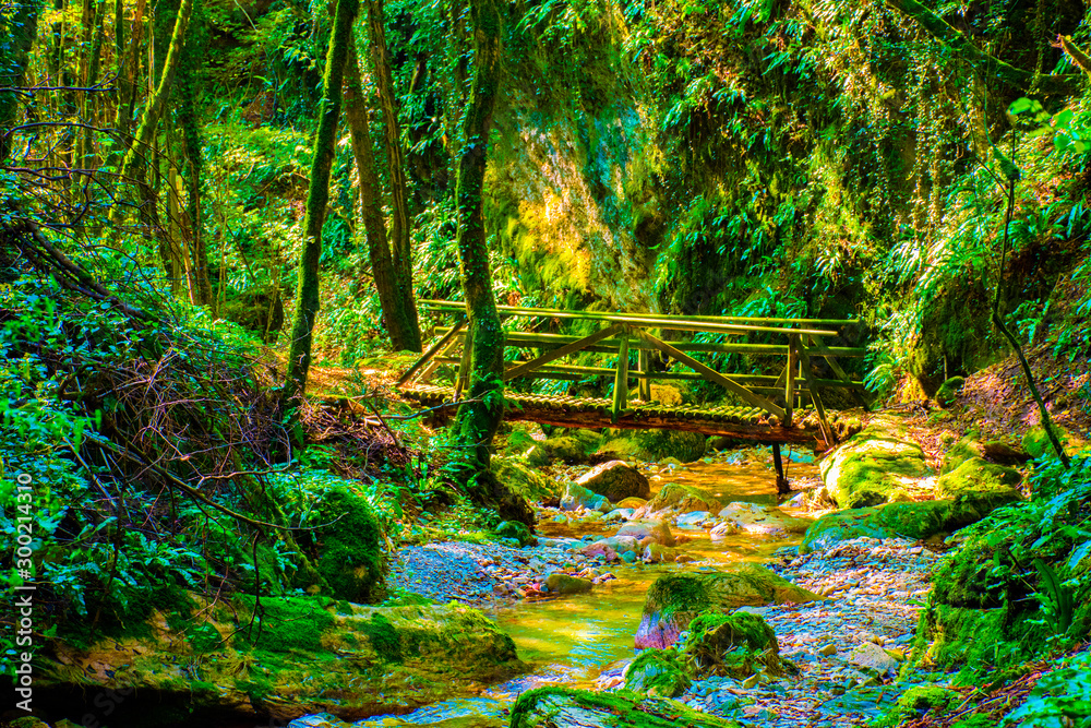 beautiful wooden bridge on the Chiavone Bianco stream in the Valle dei Mulini in Lusiana in the Province of Vicenza flows placidly among the ancient mills on a summer day near the Altipiano di Asiago.
