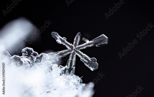 natural snowflakes on snow, winter
