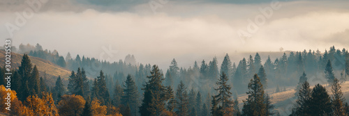 Fotoroleta las jesień piękny