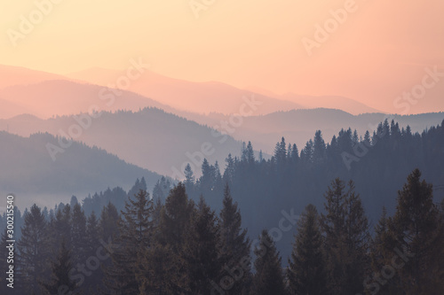 Mountains at sunrise. Colorful Carpathian mountain hills with tonal perspective at majestic autumn morning.