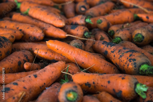 Fresh orange carrots as a background