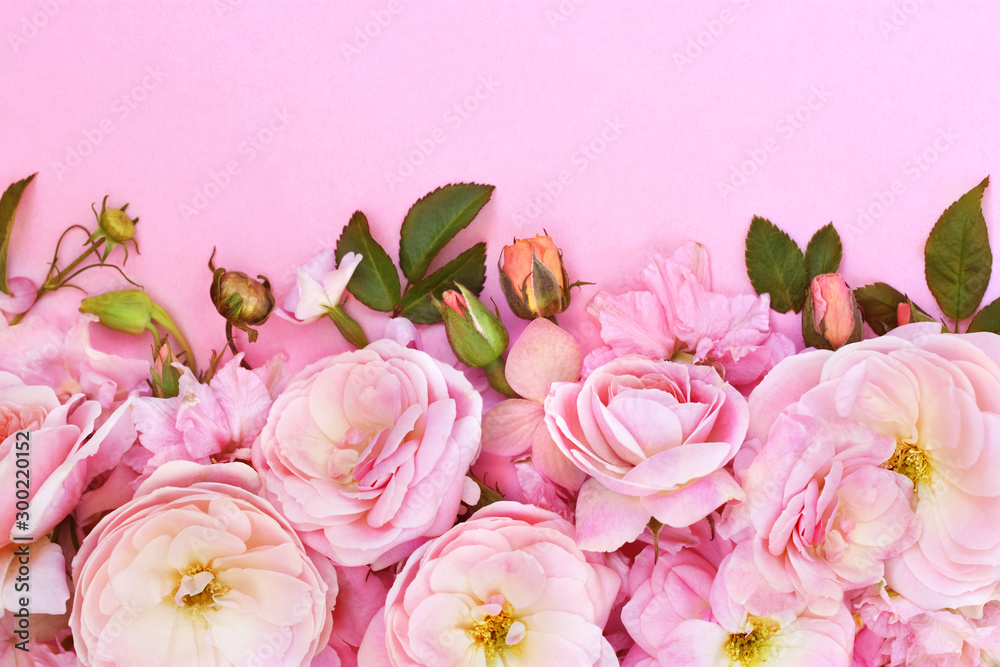 Obraz premium Summer blossoming delicate rose blooming flowers festive background, pastel and soft bouquet floral card, selective focus, toned