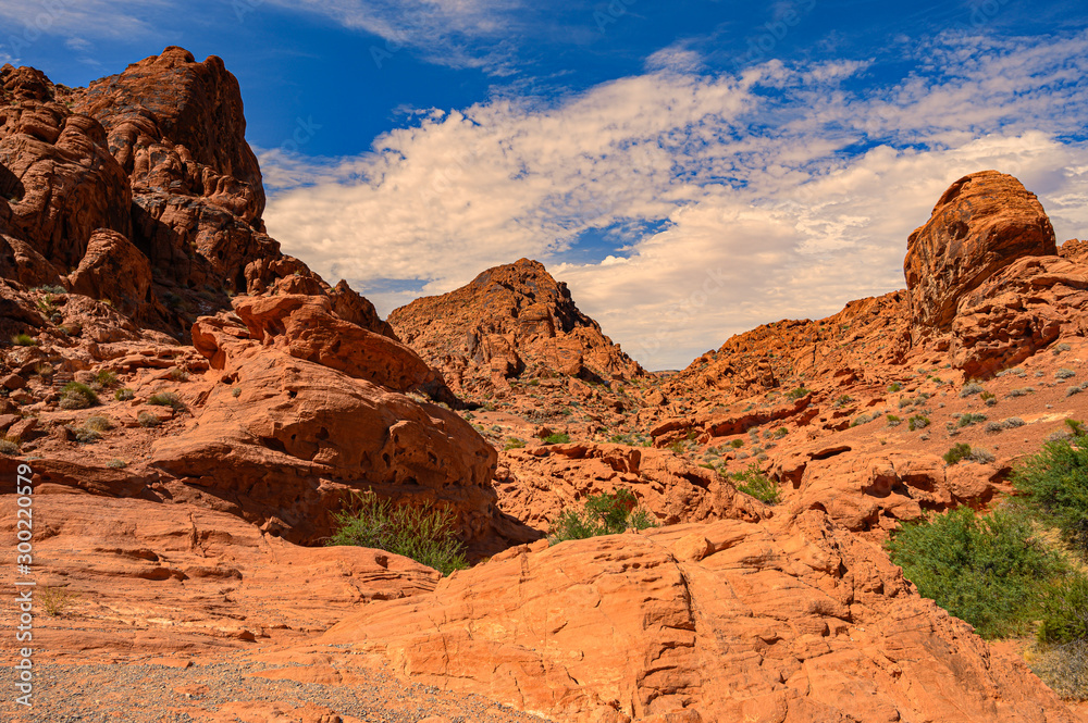 Valley of Fire Nevada USA