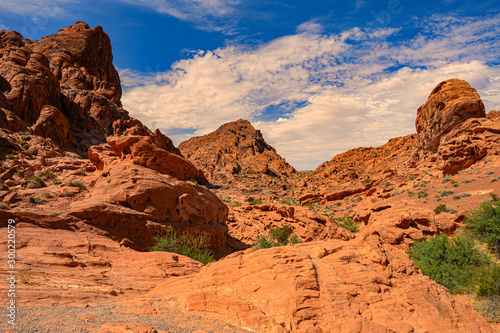 Valley of Fire Nevada USA