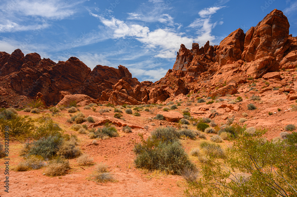 Valley of Fire Nevada USA