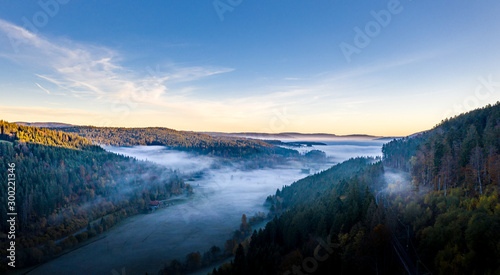 Morgennebel im Schwarwazwald, Blick Richtung Tittisee