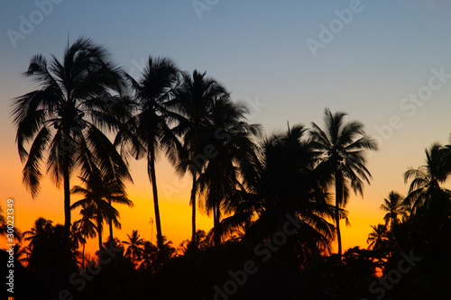 Sonnenuntergang mit Palmen