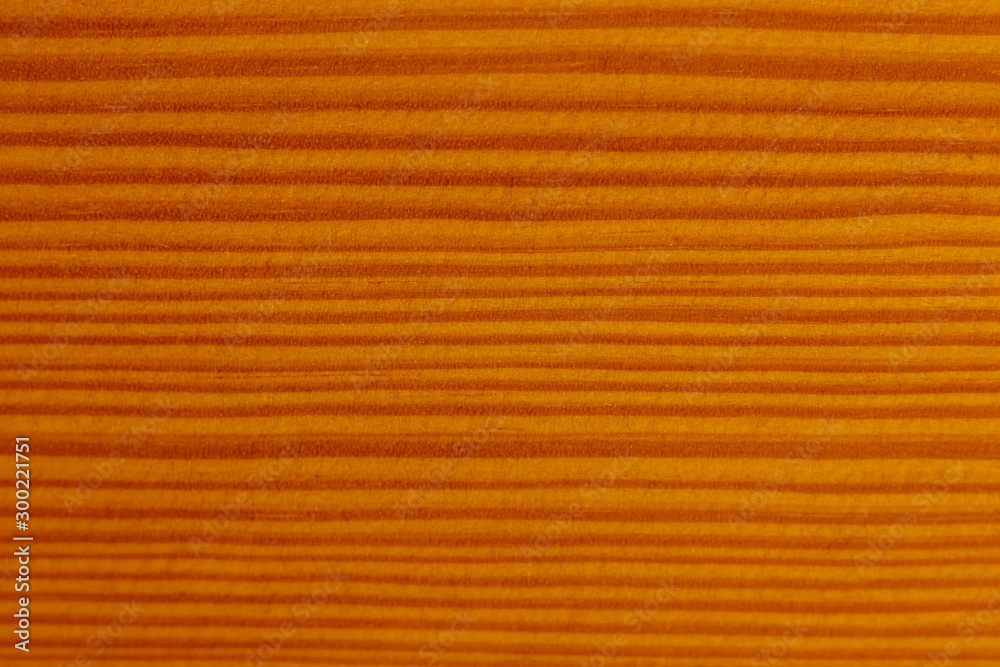Obraz premium Wooden board covered with varnish. Tree structure.