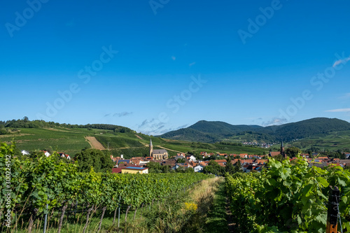 Blick auf den Weinort Birkweiler