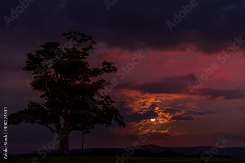 Moon rise abandoned tree on a hill at dark sunset with the rising moon in full moon over the horizon between nature and landscape overlooking dark moody clouds capture in high resolution. photo
