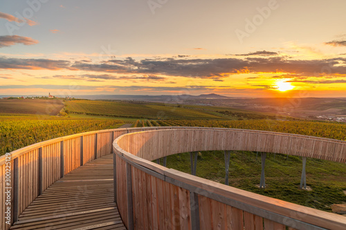 Construction of the lookout point Kobyl   Vrch and one of the columns overlooking the wine field and fresh vines and setting sun during the autumn evening area of South Moravia.