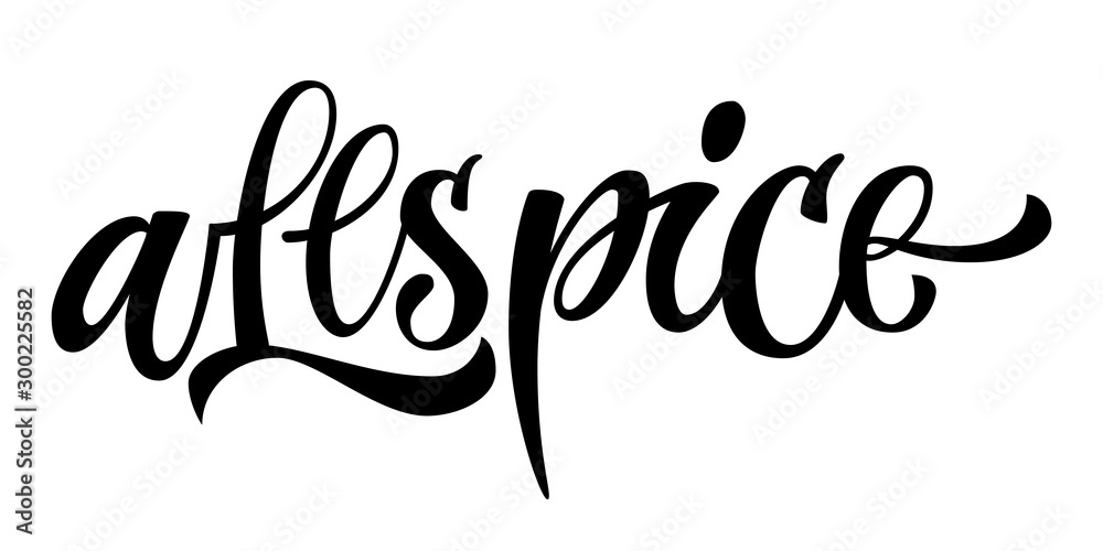 Allspice - vector hand drawn calligraphy style lettering word. Isolated script spice text label. Allspice - vector hand drawn calligraphy style lettering word. Isolated script spice text label.