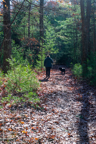 My backlit wife and dog walking down a wooded path with bright green bushes © Steven