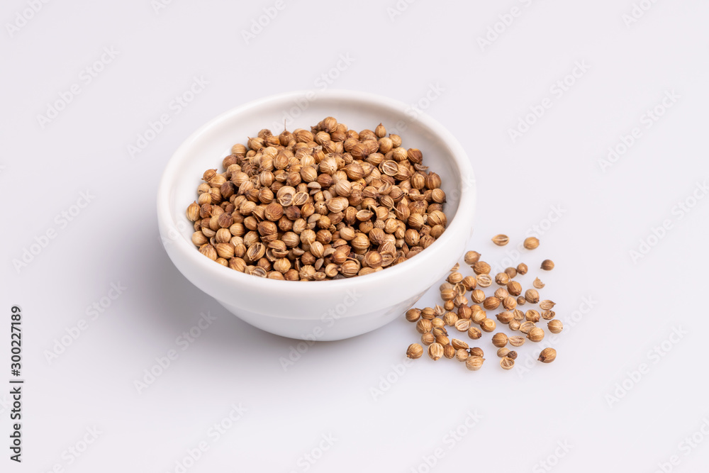 Coriander seeds in white ceramic bowl isolated on white background, soft light, studio shot, copy space Coriander seeds in white ceramic bowl isolated on white background, soft light, studio shot, copy space