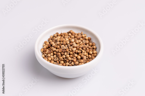 Coriander seeds in white ceramic bowl isolated on white background, soft light, studio shot, copy space