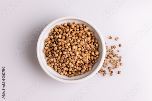 Coriander seeds in white ceramic bowl isolated on white background, soft light, studio shot, copy space