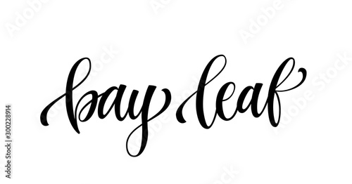 Bay leaf - hand drawn spice textl. Isolated calligraphy scrypt stile words. Vector lettering design element.