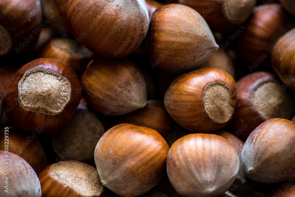 hazelnuts background. food photo concept hazelnuts background. food photo concept
