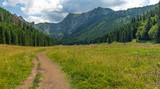 Little Meadow Valley (Dolina Małej Łąki) in Tatra Mountains.