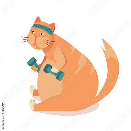 FAT cat TRAINS in sport. heavy cat in gym lifts dumbbells. Exercising in fitness, losing weight. illustration before , after vector