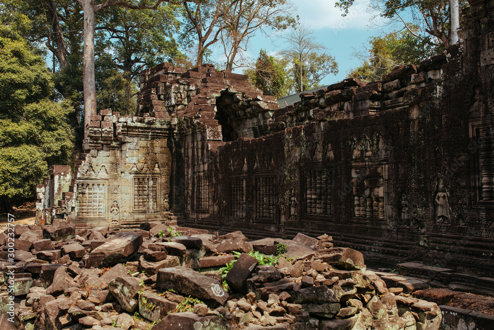 Trees grow through stones in Angkor Wat Temple in Cambodia Trees grow through stones in Angkor Wat Temple in Cambodia