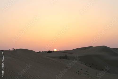 Sunset in the desert. Sand dunes and pink sky