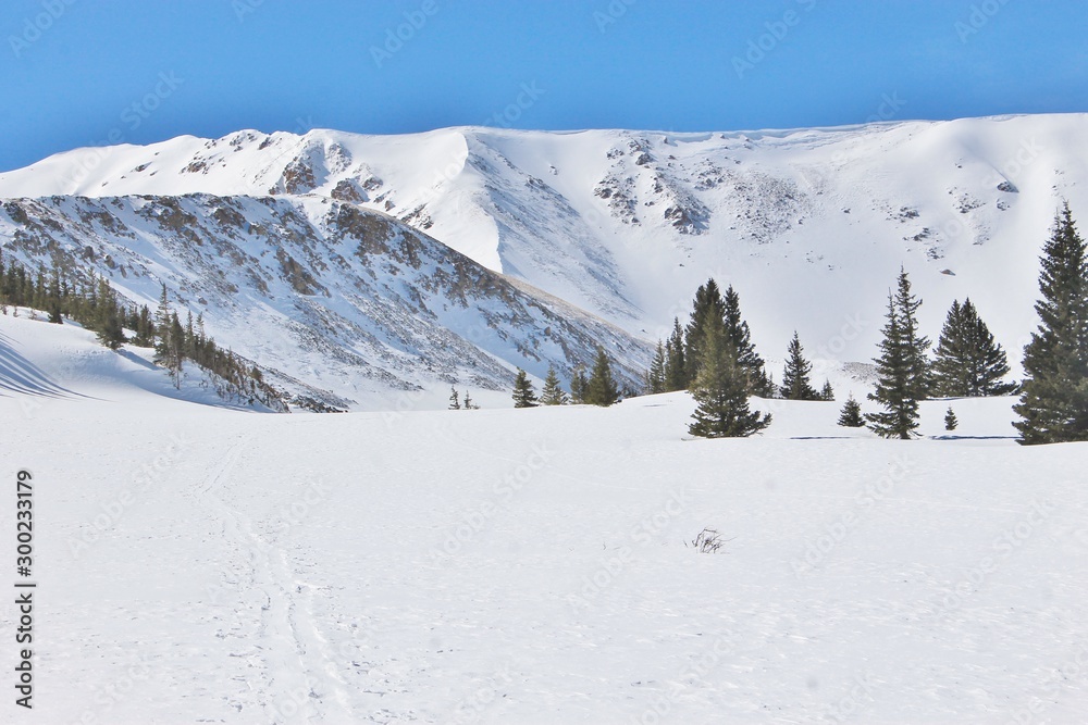Obraz premium Snow At Altitude
