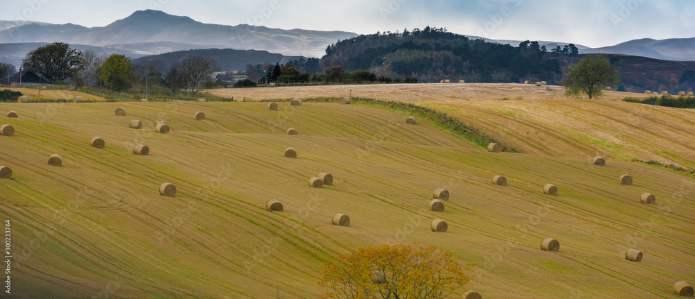 Obraz premium Agriculture in Scotland - Perth and Kinross Council District