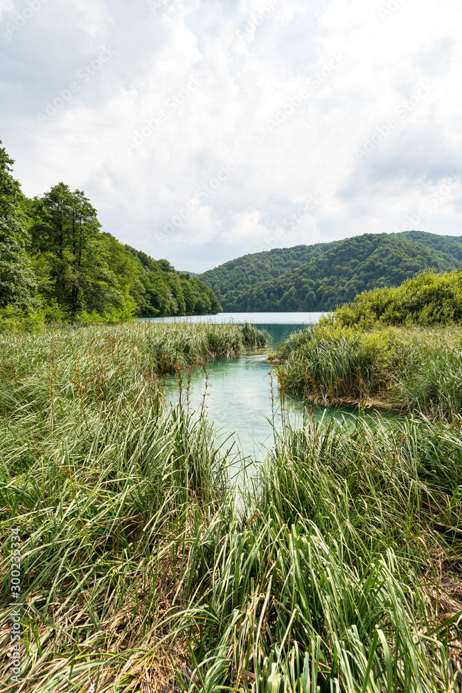 Fototapeta premium Waterfront with reeds,Plitvice Lake, Croatia