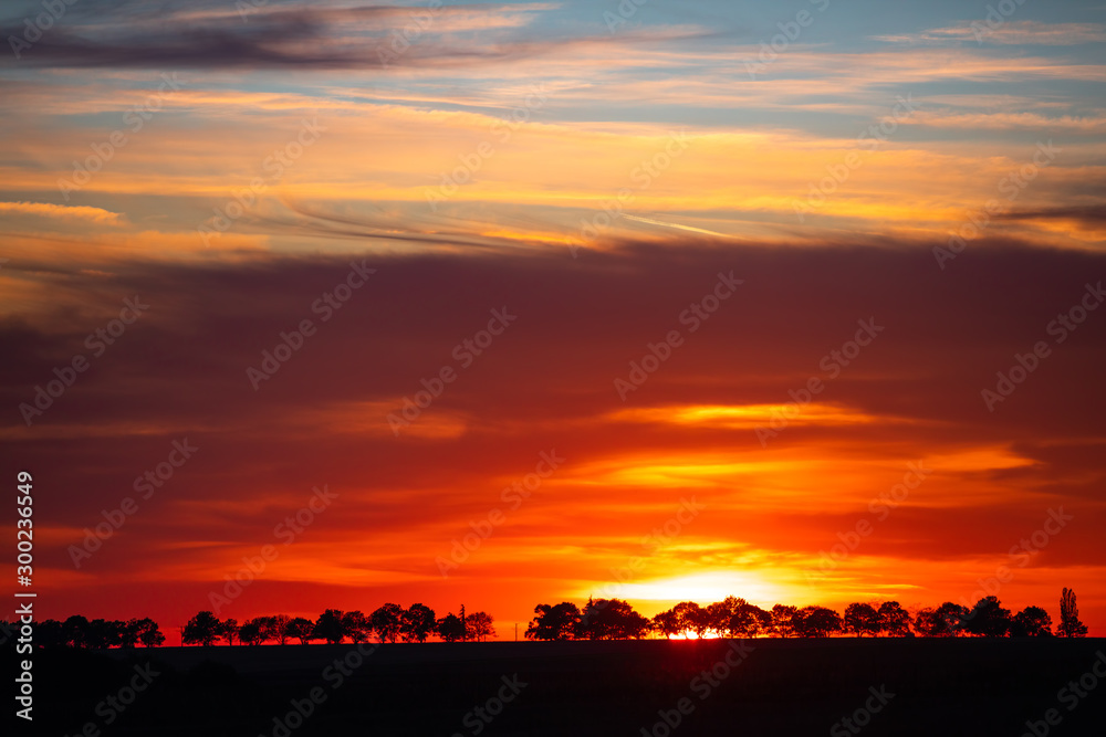 Fototapeta premium Tree silhouettes agains a colorful sunset