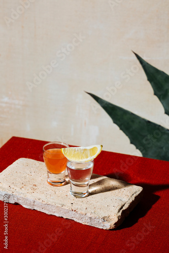 Tequila and sangrita shots; agave leaves; mexican flag colors photo