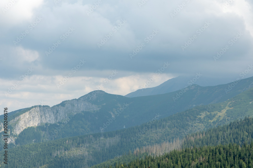 Tatry mountains and forests covering them. Summer