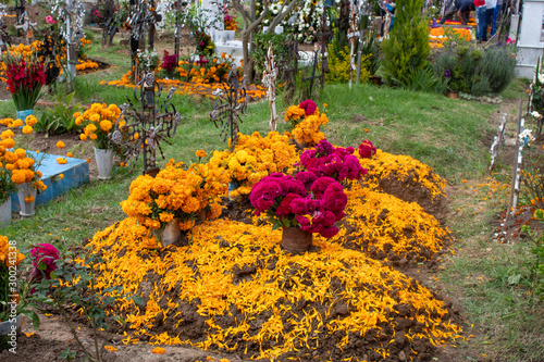 Tumbas adornadas con flores amarilla en el cementerio