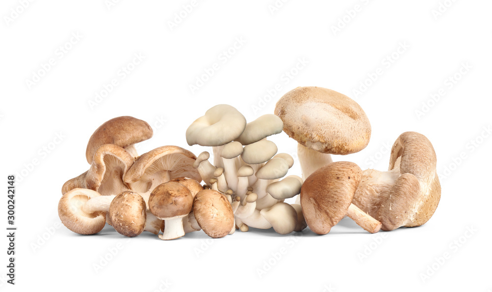 Fresh wild mushrooms on white background. Edible fungi