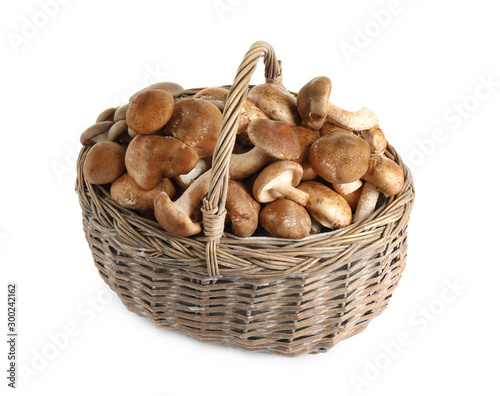 Fresh wild mushrooms in wicker basket on white background. Edible fungi