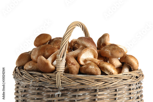 Fresh wild mushrooms in wicker basket on white background. Edible fungi