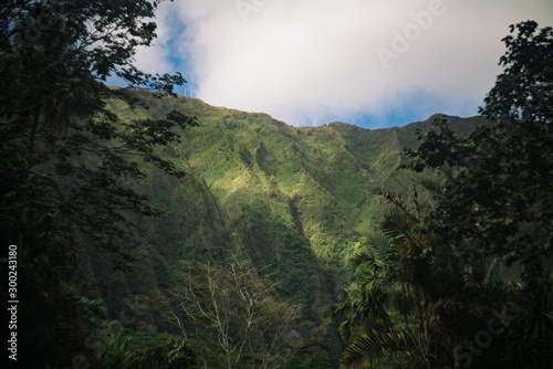 Tropical jungle mountain scene island