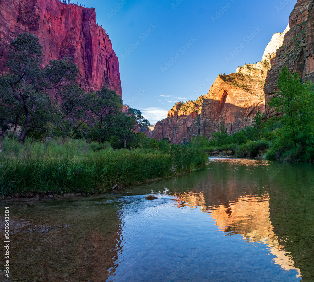 Reflections in the Virgin River of the Cliffs of Zion Canyon