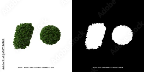 Tableau sur toile Point and comma leaves. Alphabet plants.