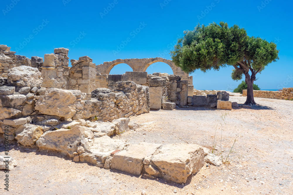 Cyprus. Paphos. Archaeological Park in the open. A tree near the ruins. Excavations of a medieval city. Museums in Cyprus. Excavations in Paphos on the background of blue sky. Holidays in Cyprus.