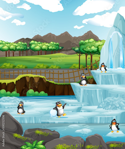 Scene with penguins on ice