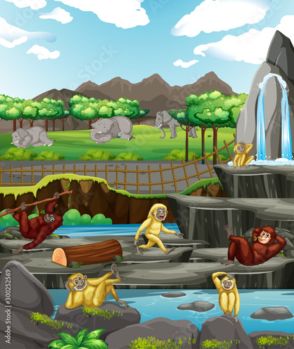 Scene with animals at the zoo