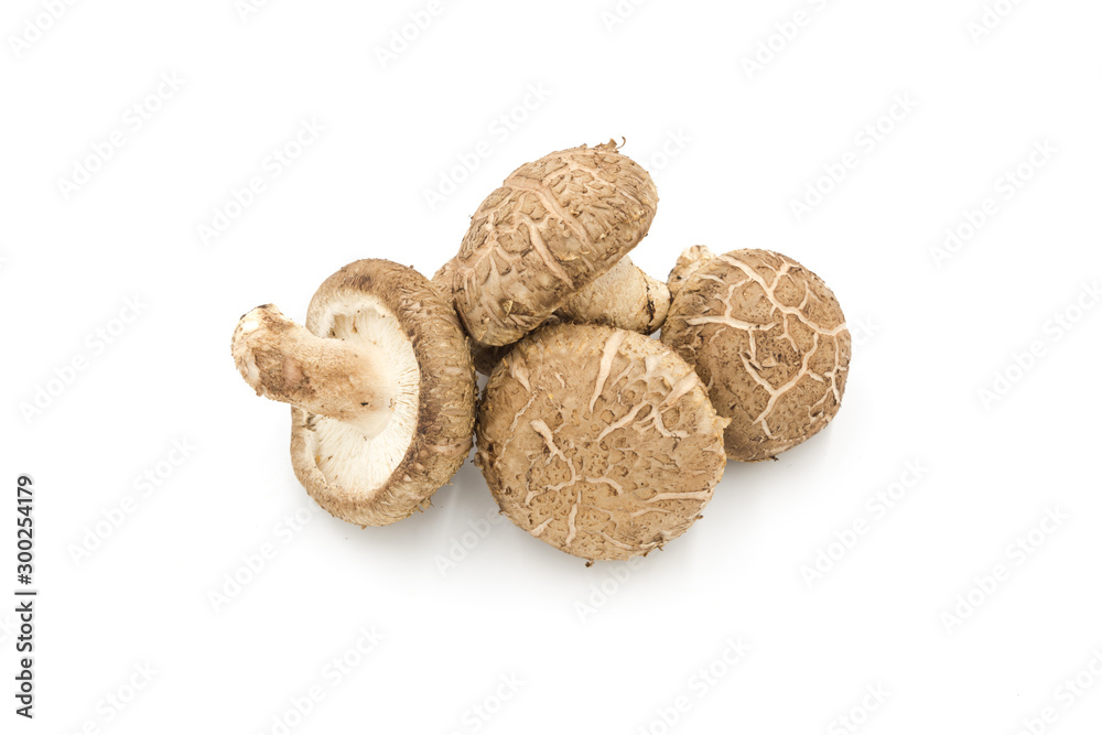 Close up of fresh mushroom pile isolated on white background