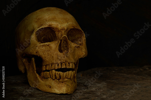 Skull on wooden floor © Tony