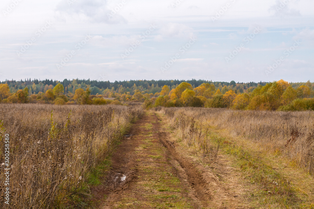 Fototapeta premium Dirty, wet road in the autumn field. Puddles on the road in the field. Off-road car track