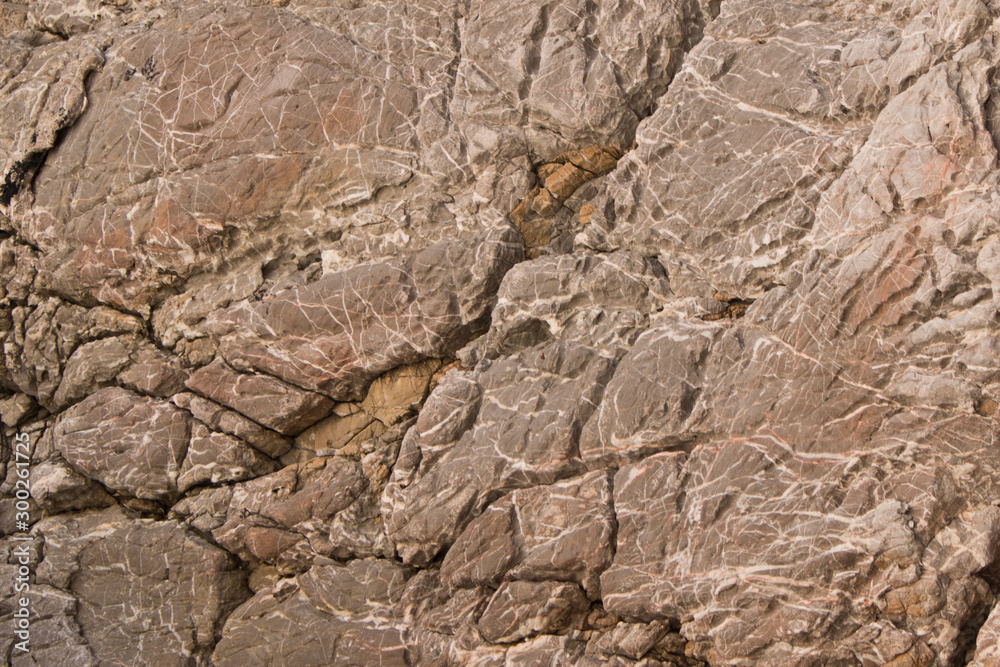 The background texture of the rock. Conceptual background for the design. The background texture of the rock. Conceptual background for the design.