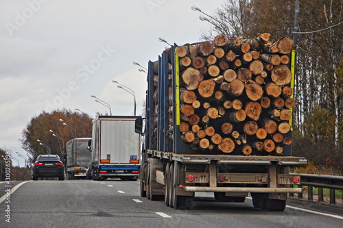 Loaded wood truck transports logs on a trailer on a country asphalt road on autumn day, russian timber export in EAC, forestry business