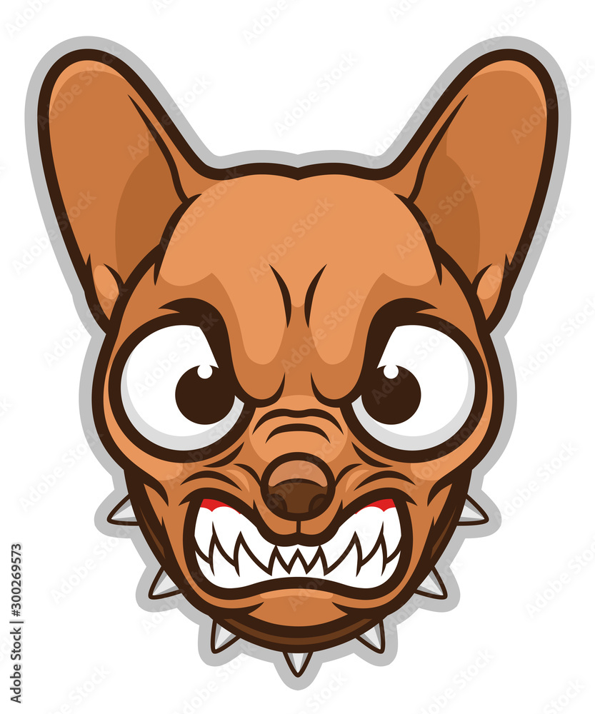 Angry Chihuahua head